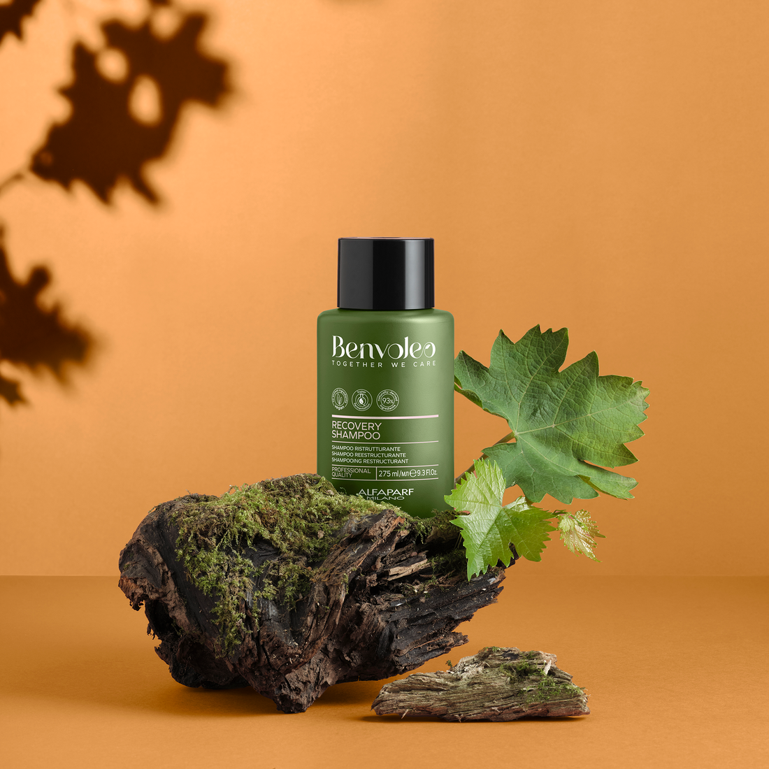 Benvoleo Recovery Shampoo 275ml Alfaparf