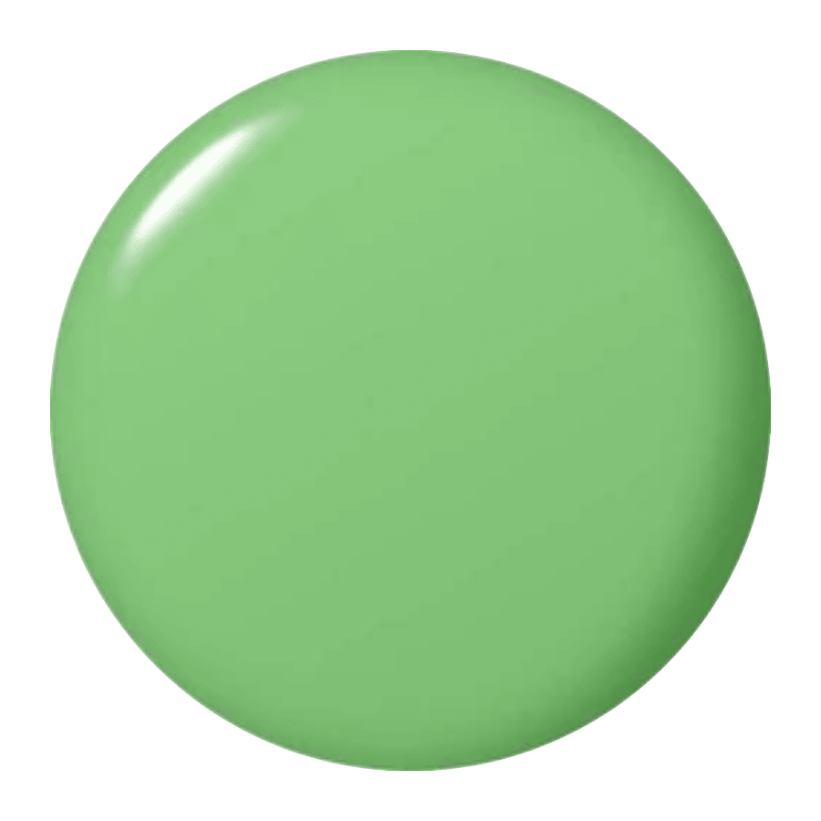 OPI LACQUER #NLN34 YOU ARE SO OUTTA LIME!
