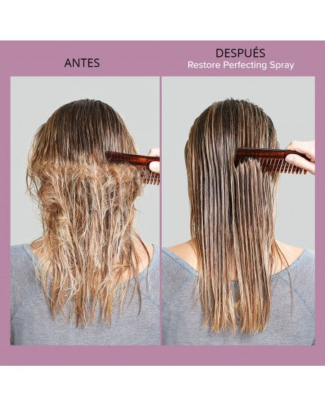 Perfecting Spray Restore 8.0oz Living Proof.