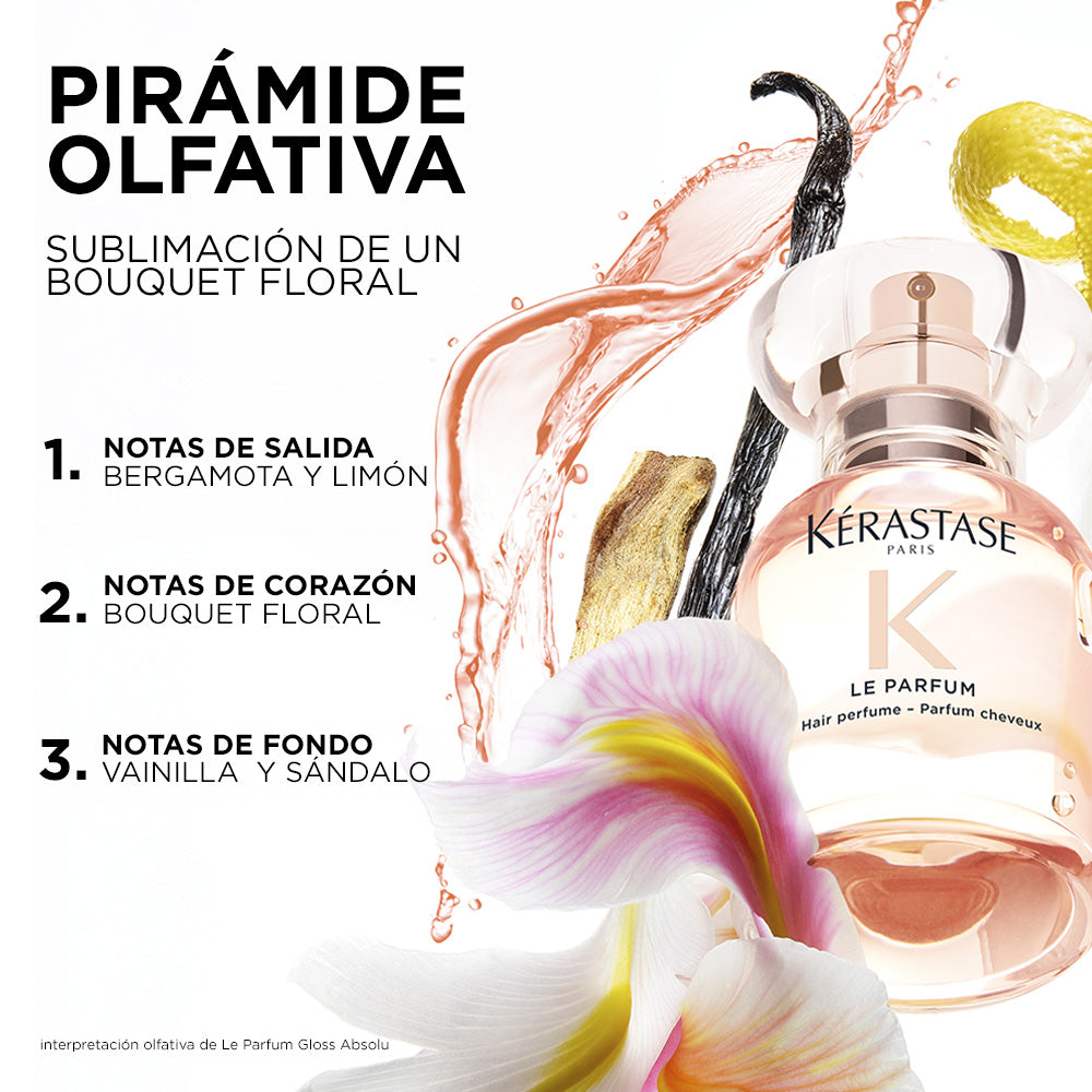 LE PARFUM GLOSS ABSOLU 30ML