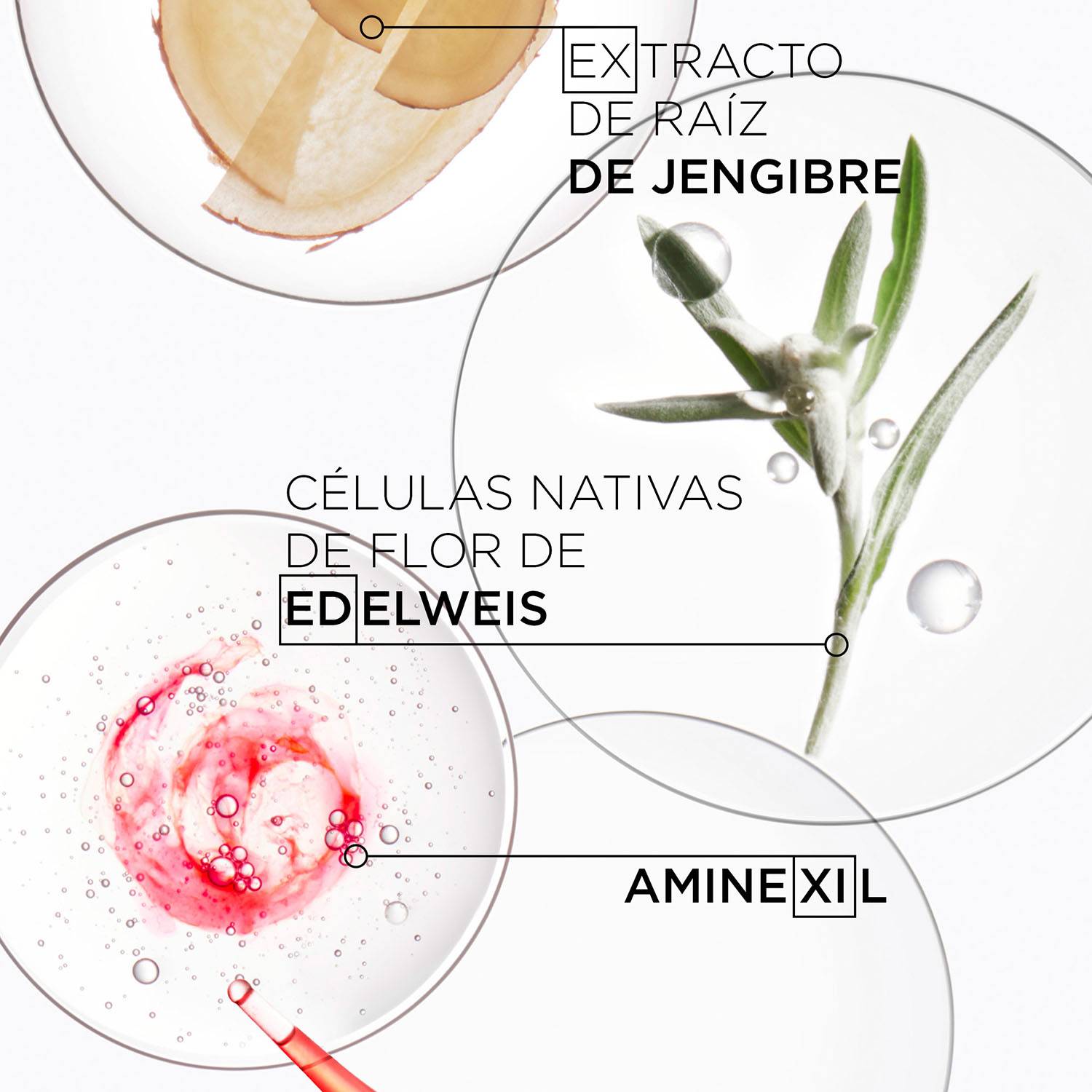 Shampoo Anti-caída Hydra-Fortifiant Genesis 500 ml