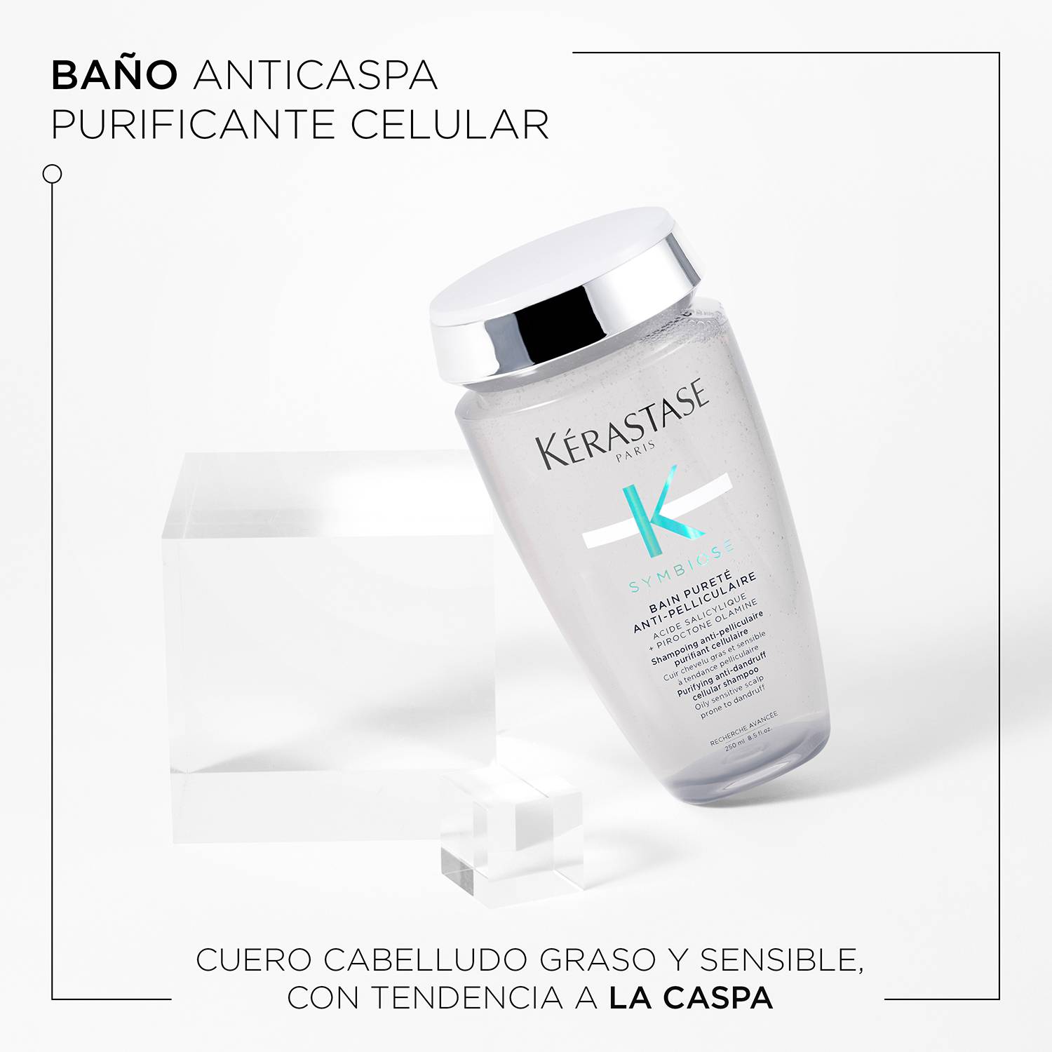 Shampoo Kérastase Symbiose Anti Caspa para cuero cabelludo graso 250ml