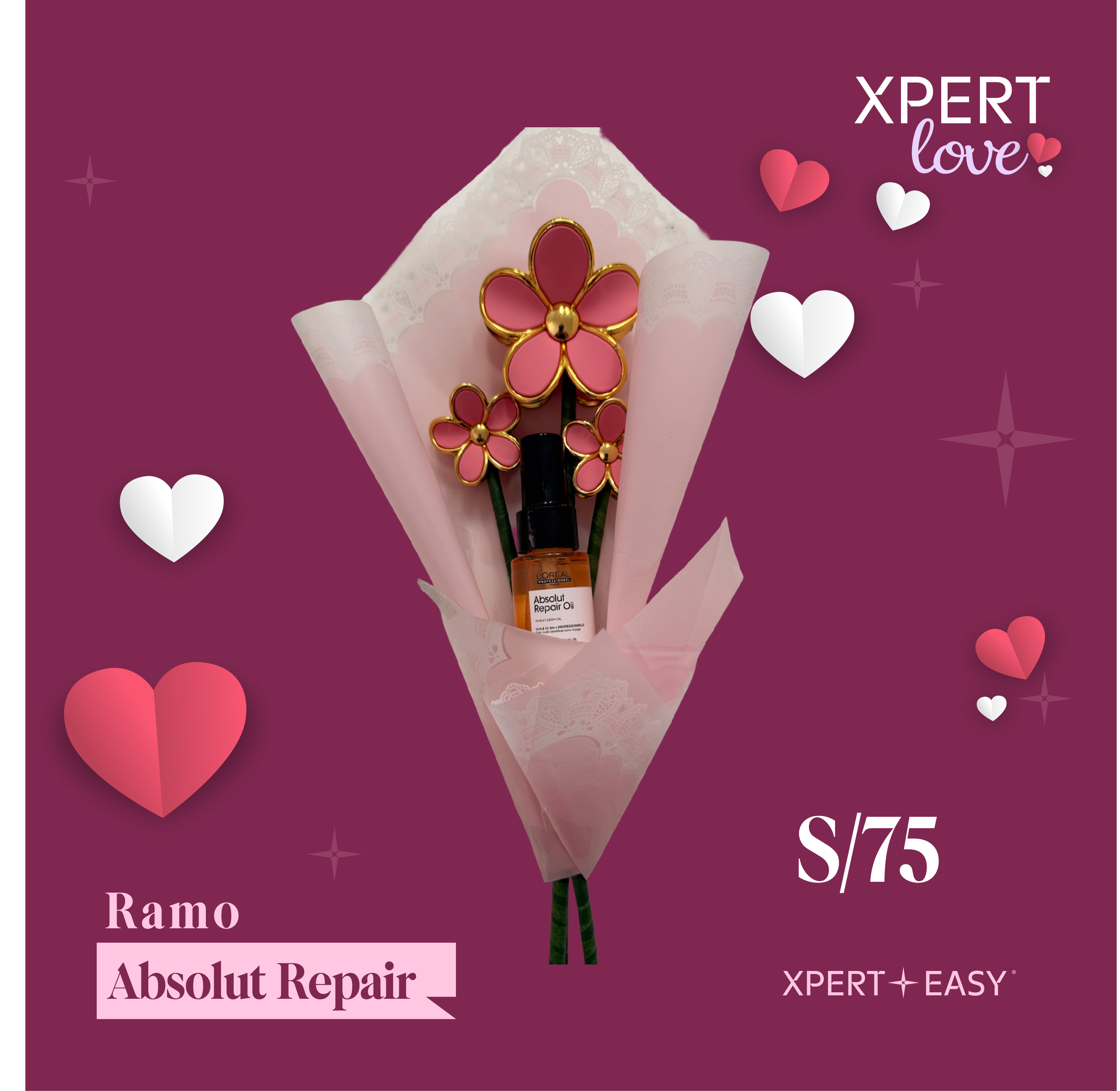 SAN VALENTIN RAMO ABSOLUT REPAIR