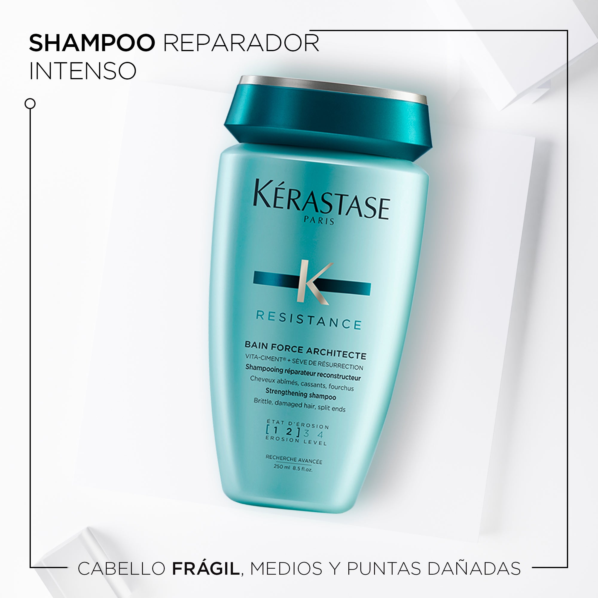 Shampoo Resistance Force Architecte 250ml