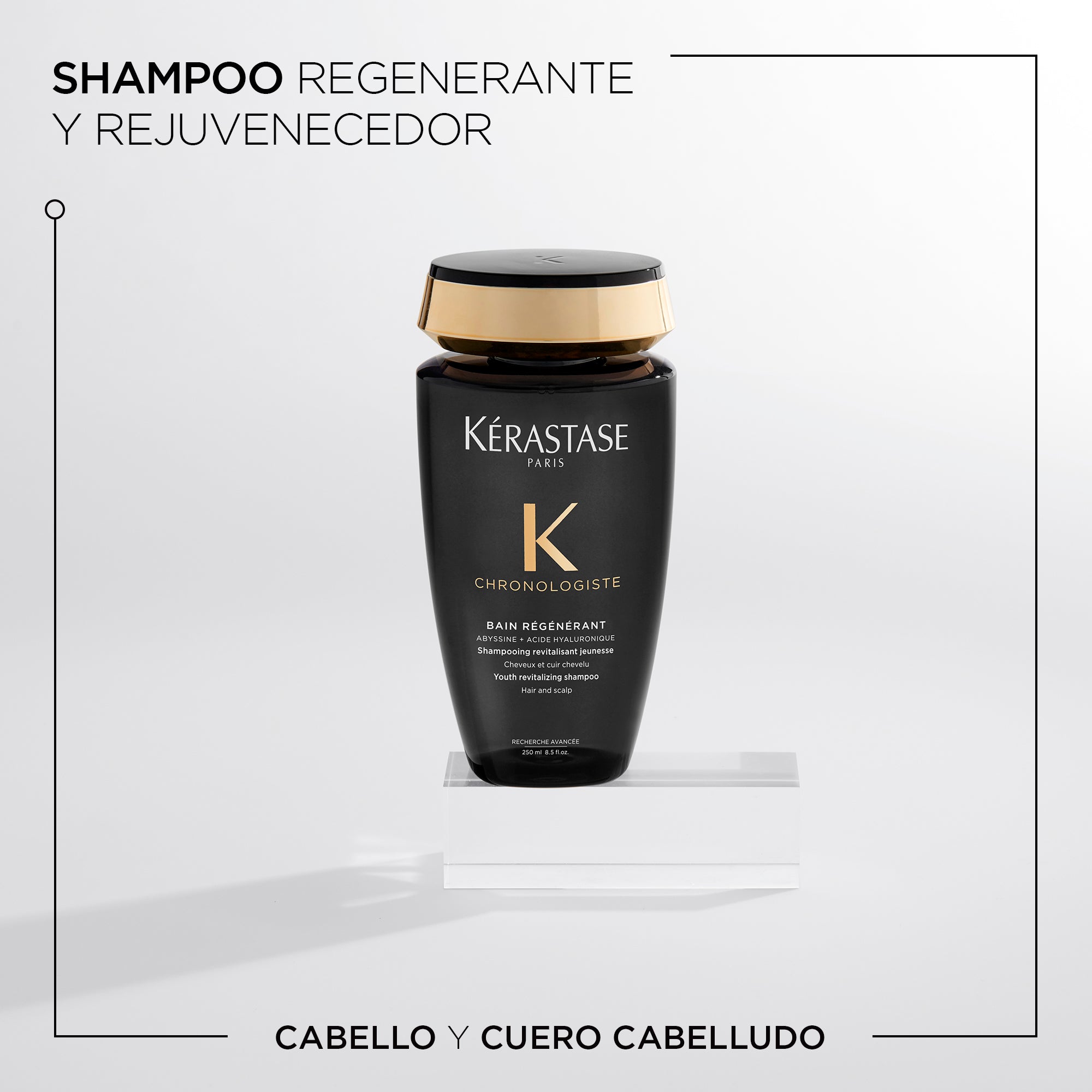 Shampoo Chronologiste Regénérant 250ml