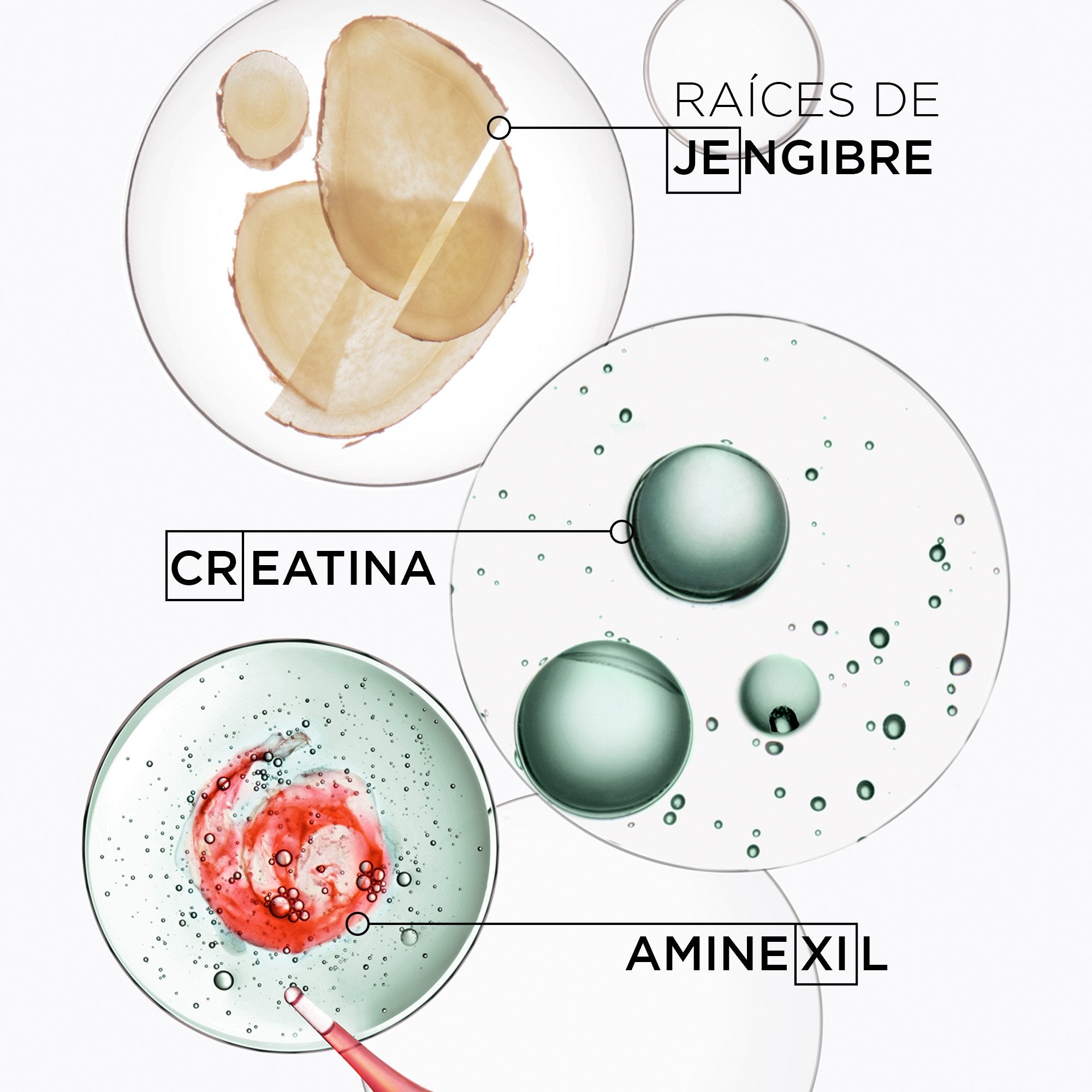 Shampoo para cabello debilitado con tendencia a la caída Bain de Force Quotidien Genesis Homme 250ml