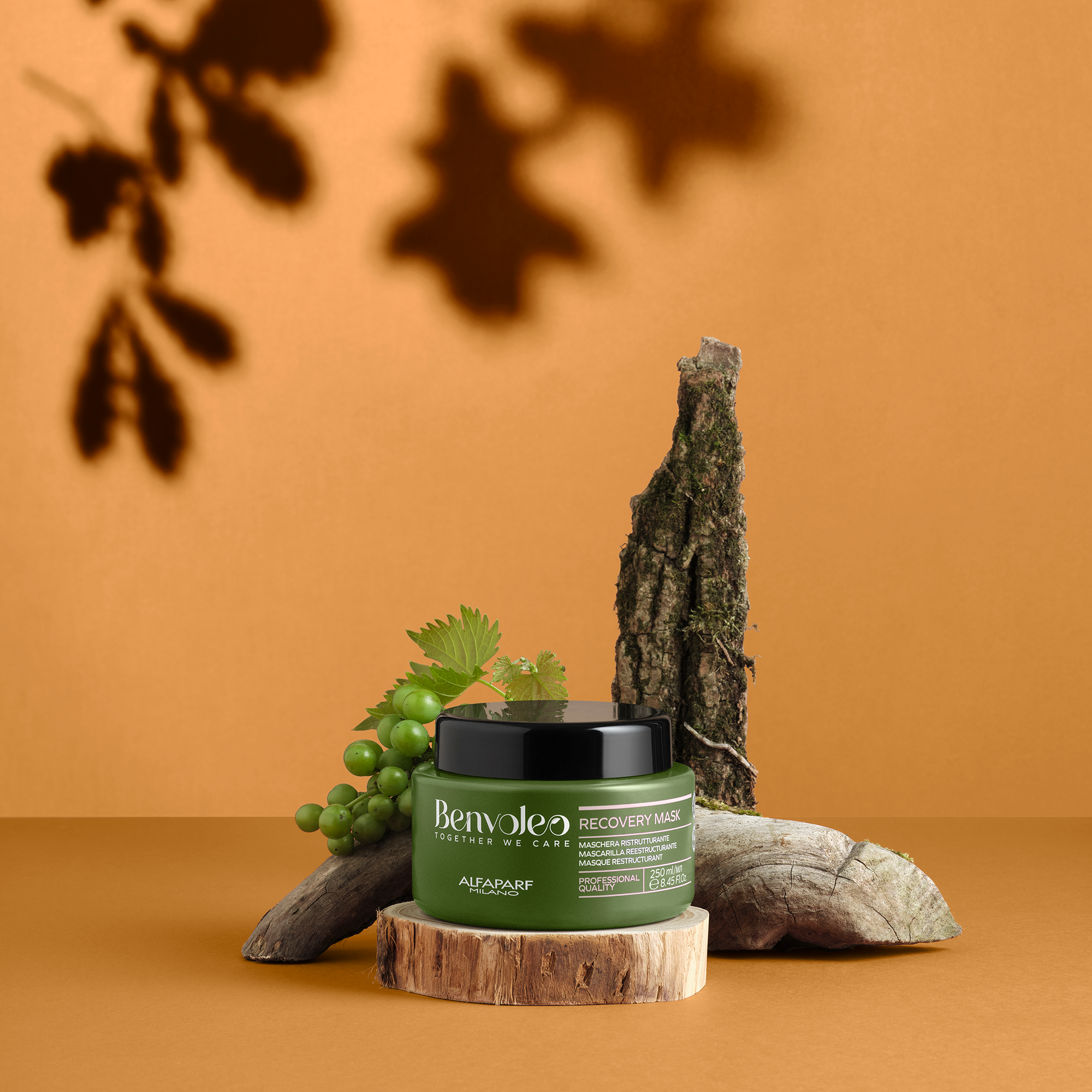 Benvoleo Recovery Mask 250ml Alfaparf
